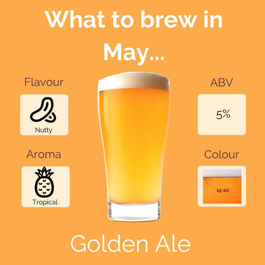 Muntons Golden Ale Recipe