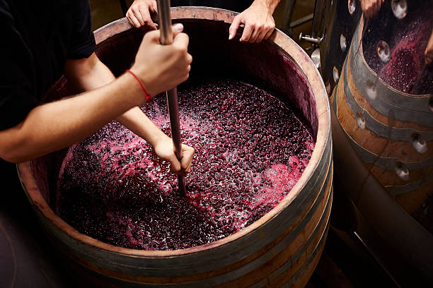 Wine Making