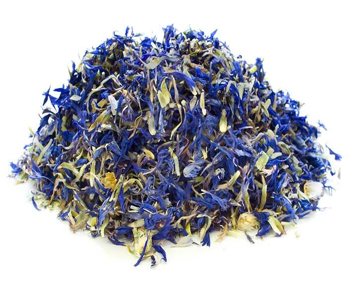 Blue Cornflower Petals