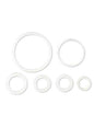 GF30 Fermenter Dual Valve Tap Seals (10241)