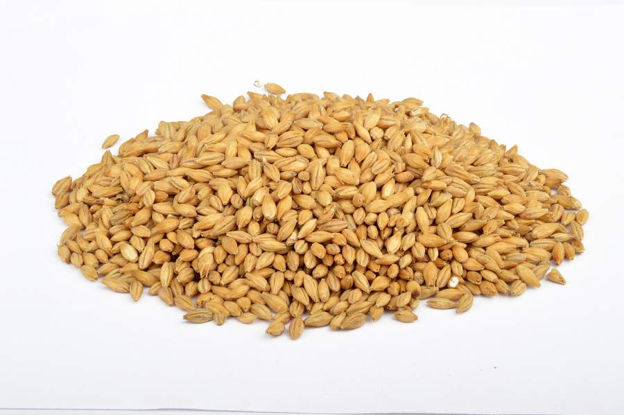 Bestmalz Carapils Malt (Whole)