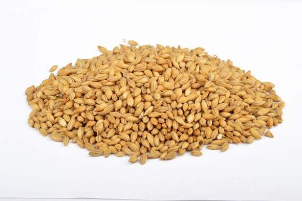 Bestmalz Carapils Malt (Milled)