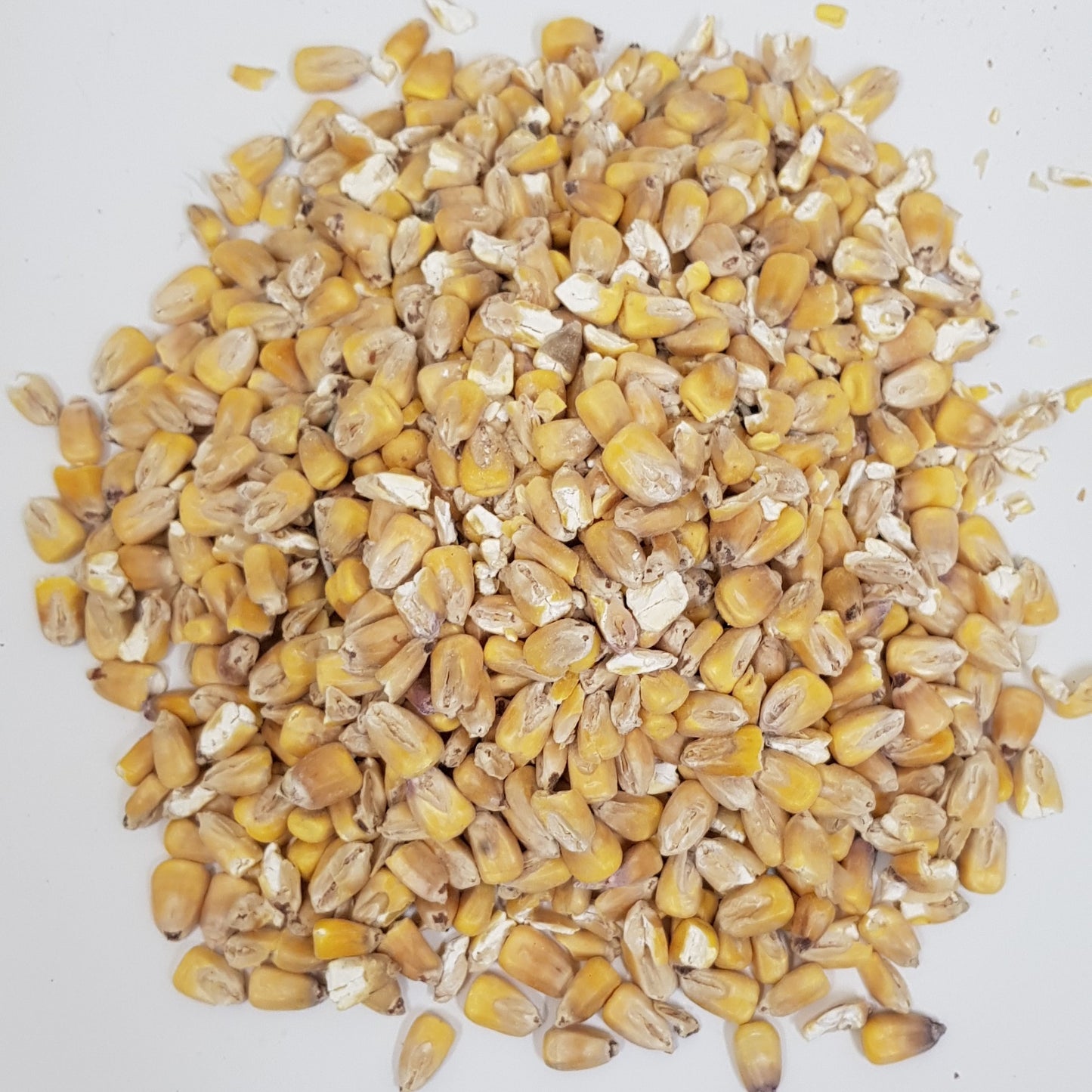 Gladfield Maize Malt (now pre-milled at Gladfield)