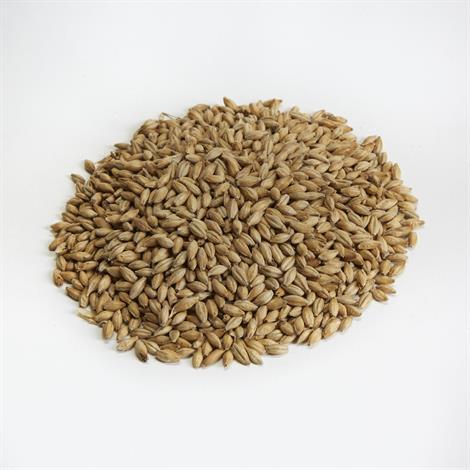 Golden Promise Malt (Milled)