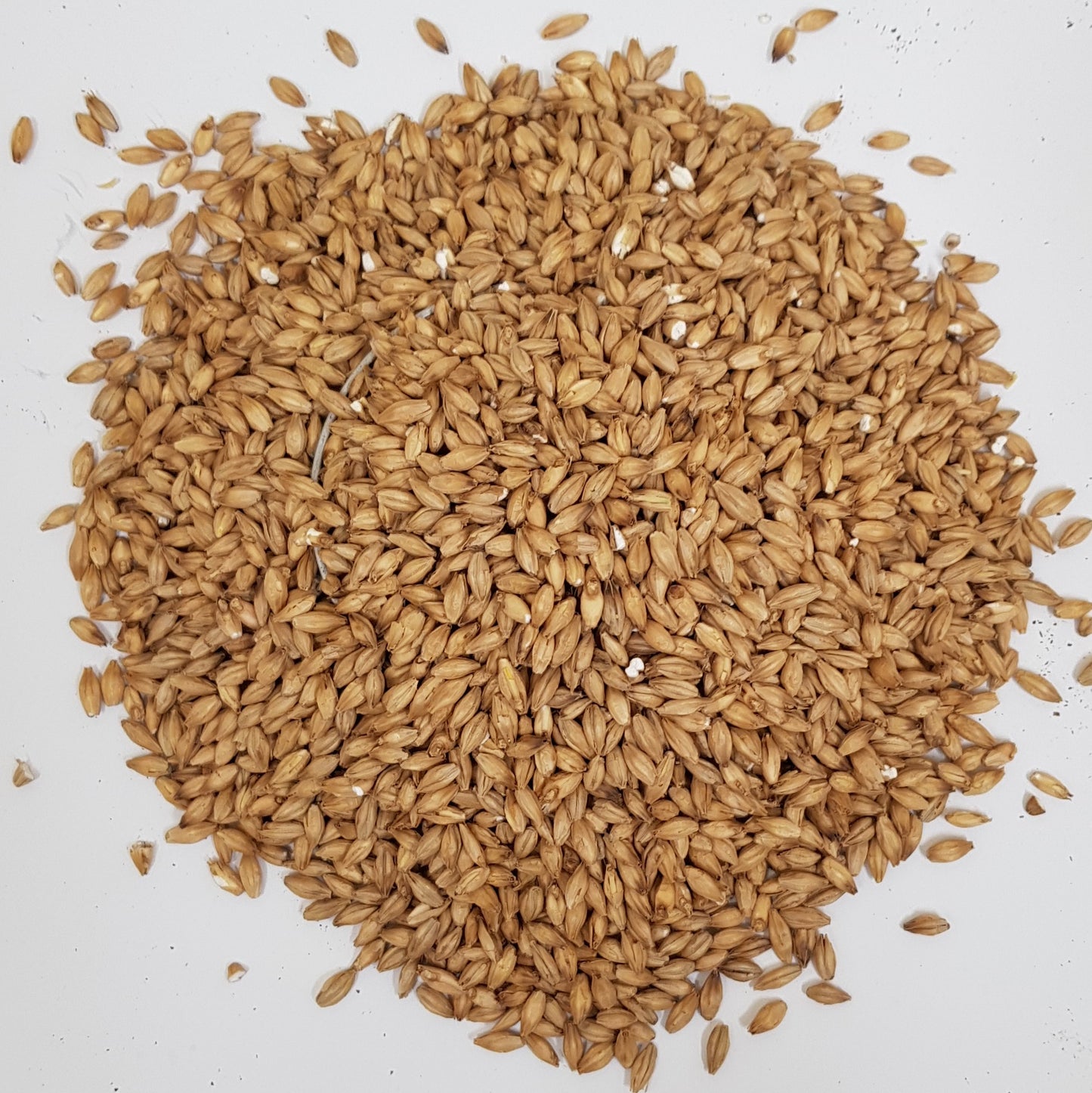 Gladfield Manuka Smoked Malt (Whole)