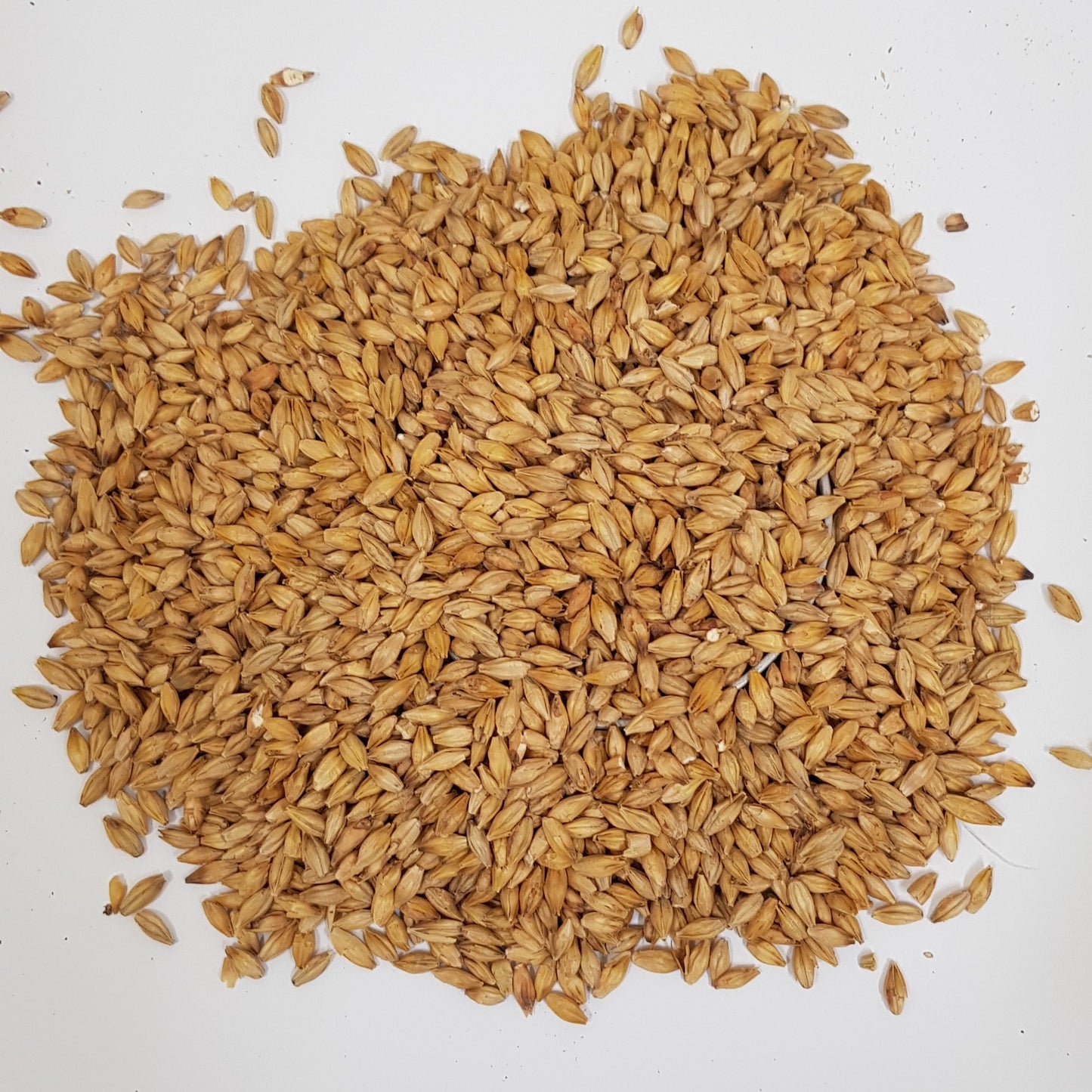 Gladfield Sour Grapes Malt (Milled)