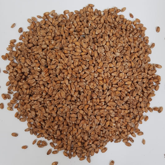 Gladfield Wheat Malt (Whole)